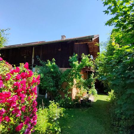 Gemuetliche Ferienwohnung Mit Kamin Und Garten Γκάρμις-Παρτενκίρχεν Εξωτερικό φωτογραφία
